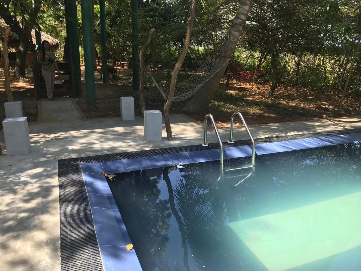Yala Eco Tree House New Hotel Tissamaharama Luaran gambar
