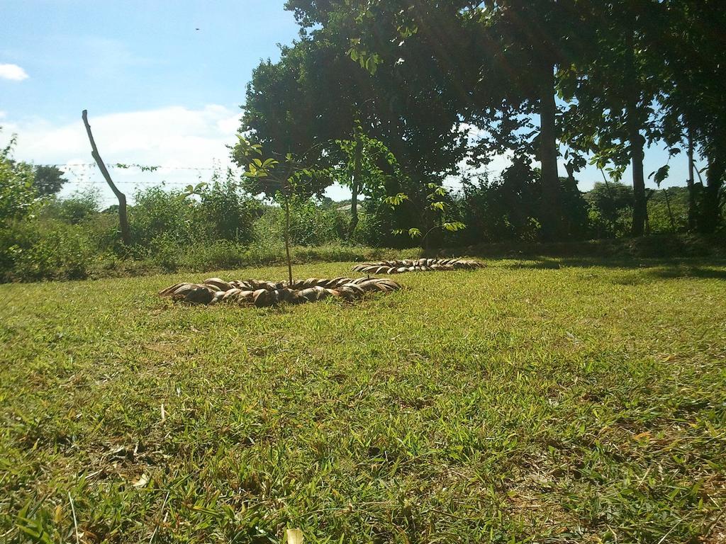Yala Eco Tree House New Hotel Tissamaharama Luaran gambar