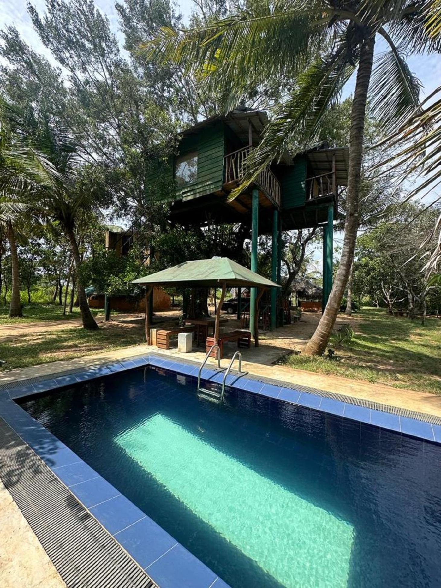Yala Eco Tree House New Hotel Tissamaharama Luaran gambar