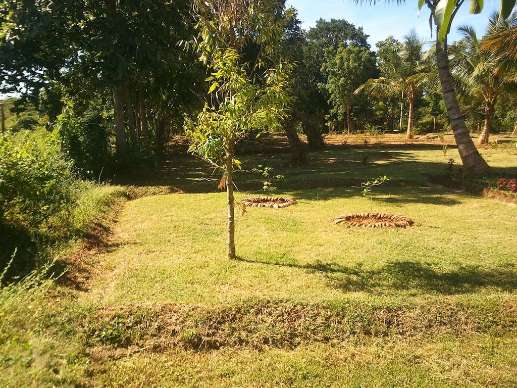 Yala Eco Tree House New Hotel Tissamaharama Luaran gambar