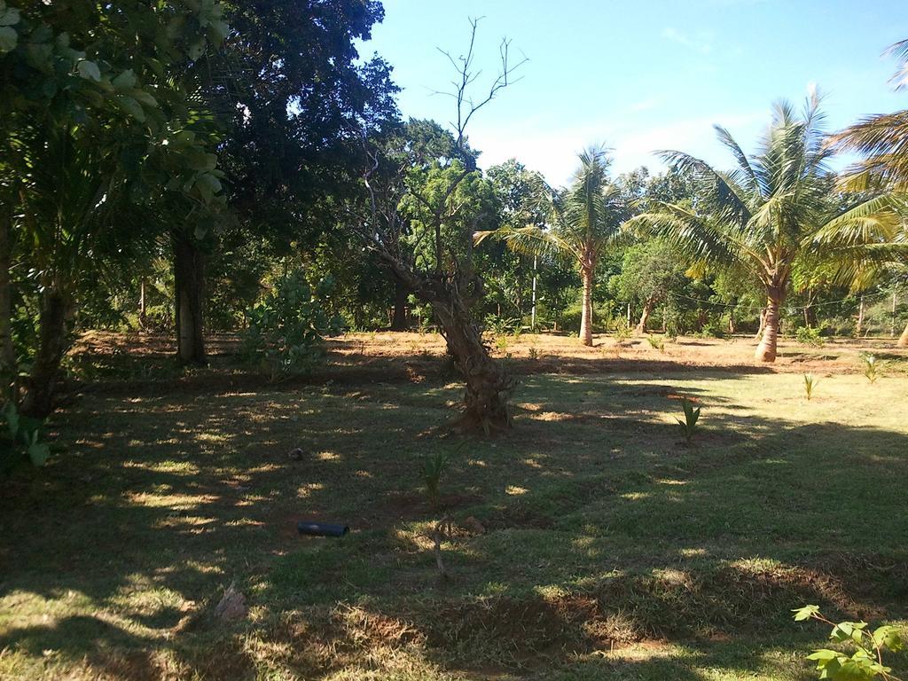 Yala Eco Tree House New Hotel Tissamaharama Luaran gambar