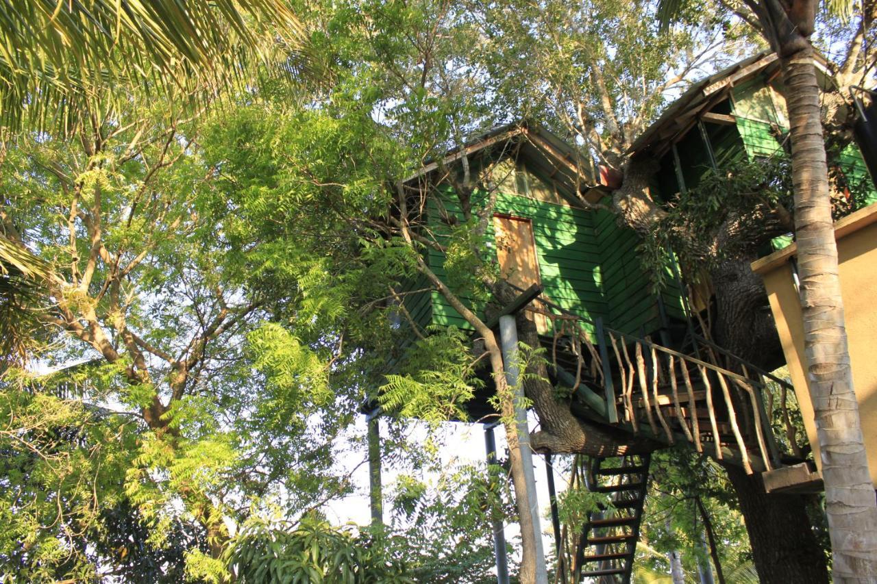 Yala Eco Tree House New Hotel Tissamaharama Luaran gambar