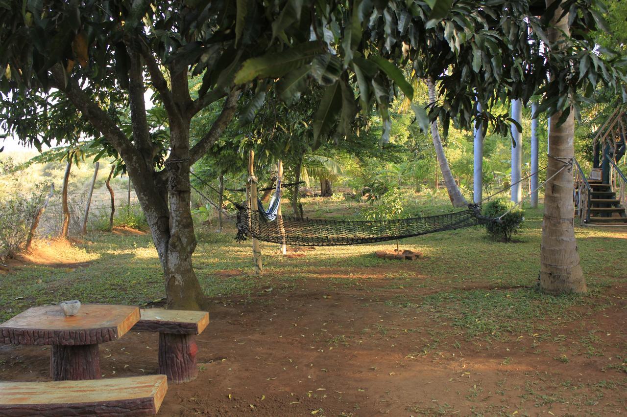 Yala Eco Tree House New Hotel Tissamaharama Luaran gambar