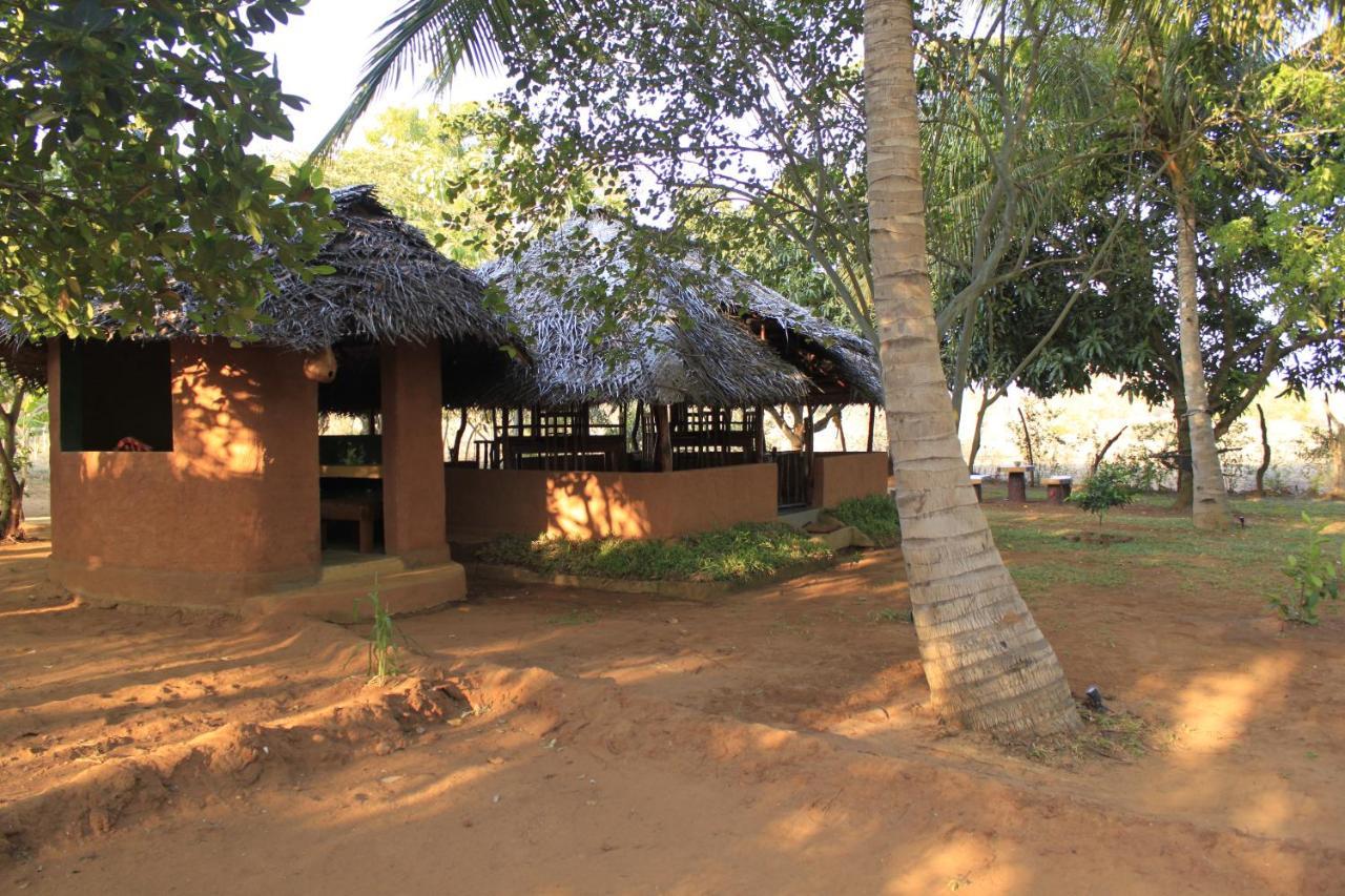 Yala Eco Tree House New Hotel Tissamaharama Luaran gambar