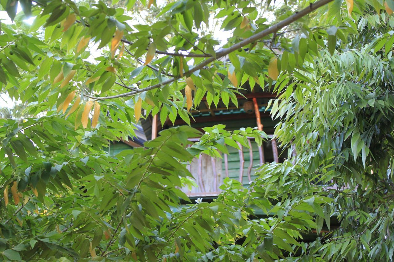 Yala Eco Tree House New Hotel Tissamaharama Luaran gambar