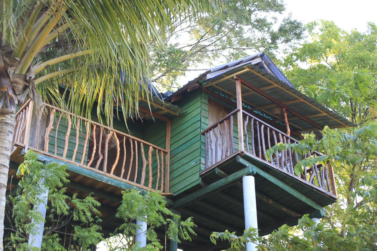 Yala Eco Tree House New Hotel Tissamaharama Luaran gambar