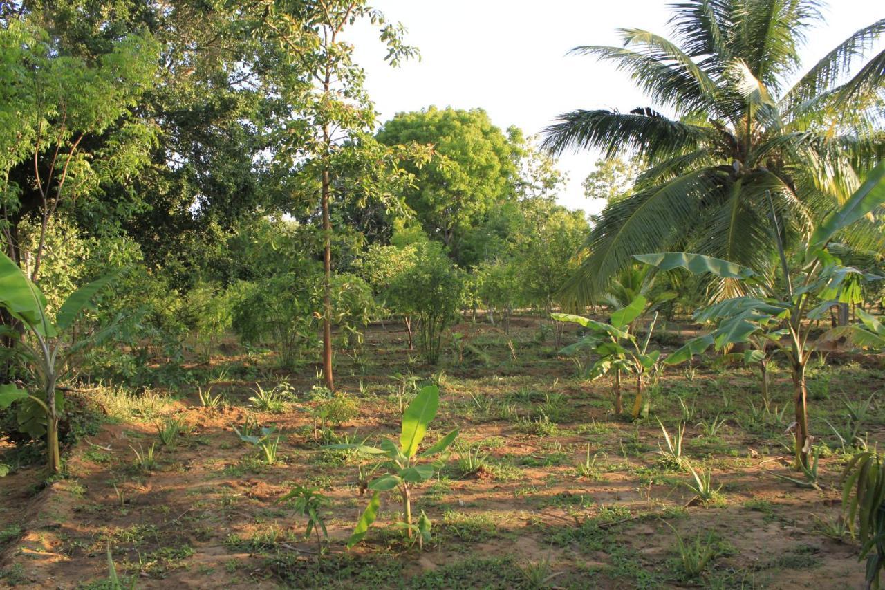 Yala Eco Tree House New Hotel Tissamaharama Luaran gambar