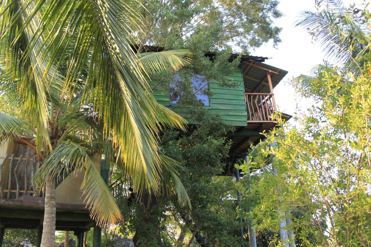 Yala Eco Tree House New Hotel Tissamaharama Luaran gambar