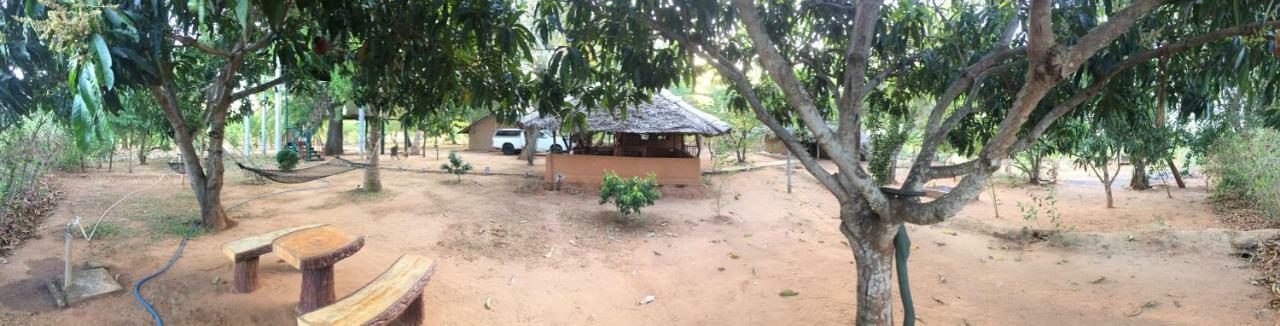 Yala Eco Tree House New Hotel Tissamaharama Luaran gambar