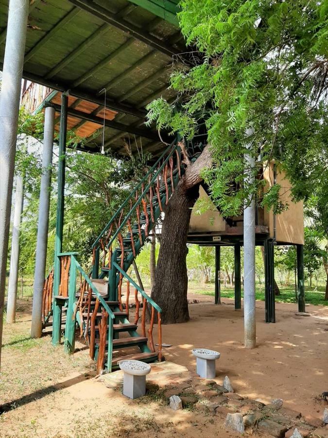 Yala Eco Tree House New Hotel Tissamaharama Luaran gambar
