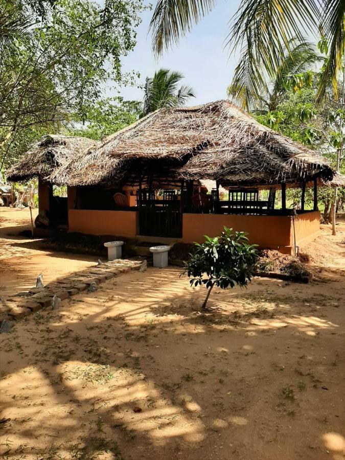 Yala Eco Tree House New Hotel Tissamaharama Luaran gambar