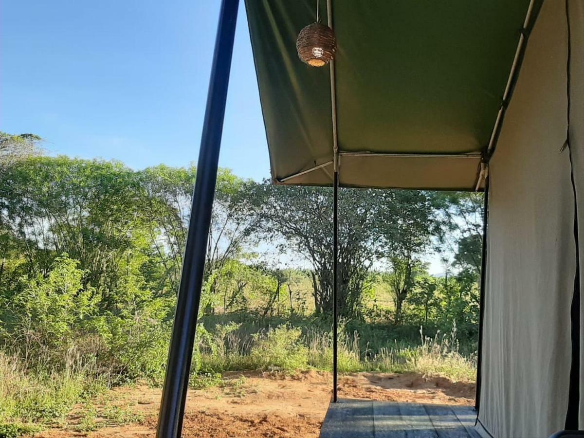Yala Eco Tree House New Hotel Tissamaharama Luaran gambar