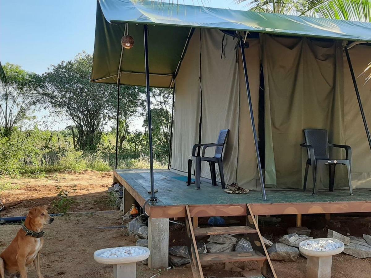 Yala Eco Tree House New Hotel Tissamaharama Luaran gambar