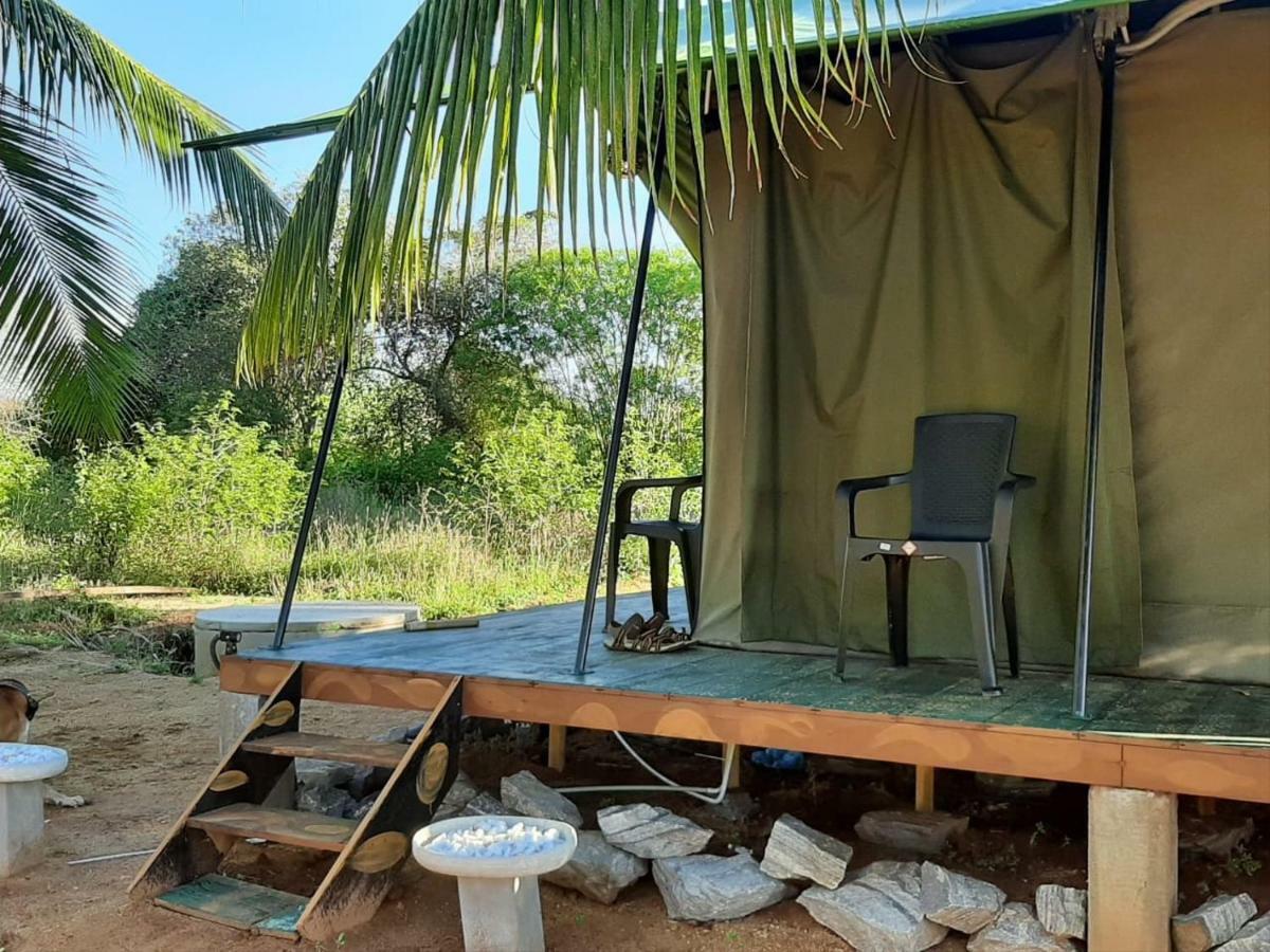 Yala Eco Tree House New Hotel Tissamaharama Luaran gambar