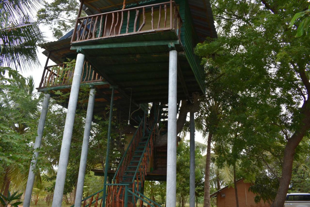 Yala Eco Tree House New Hotel Tissamaharama Luaran gambar