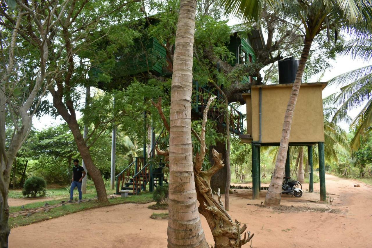 Yala Eco Tree House New Hotel Tissamaharama Luaran gambar